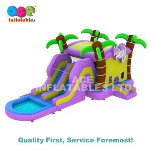 Bounce House Combo Slide